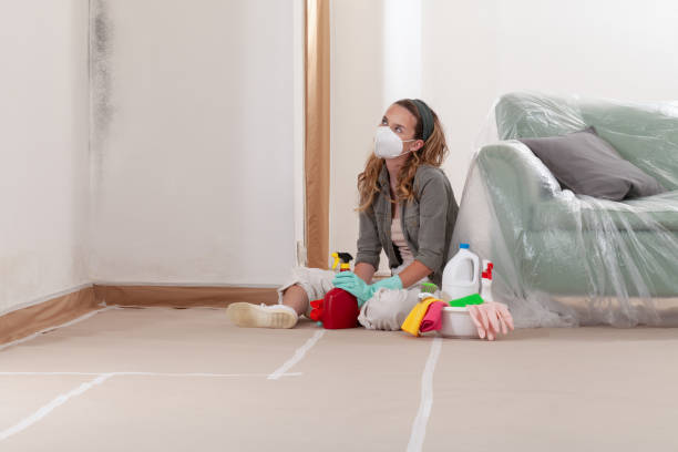 Reliable Mold Cleanup contractor in Ashton, MD by WQB Mold Removal